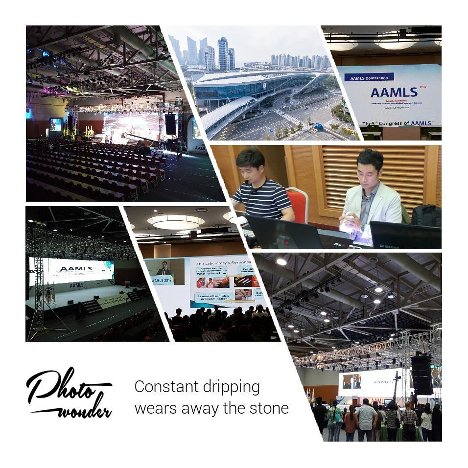  2017 AAMLS